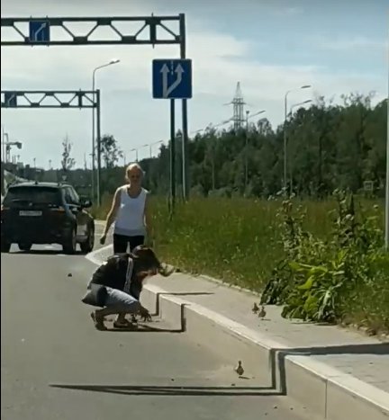 Кадр из видео в vk.com/spb_today